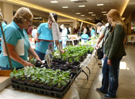 Plant Sale 2013